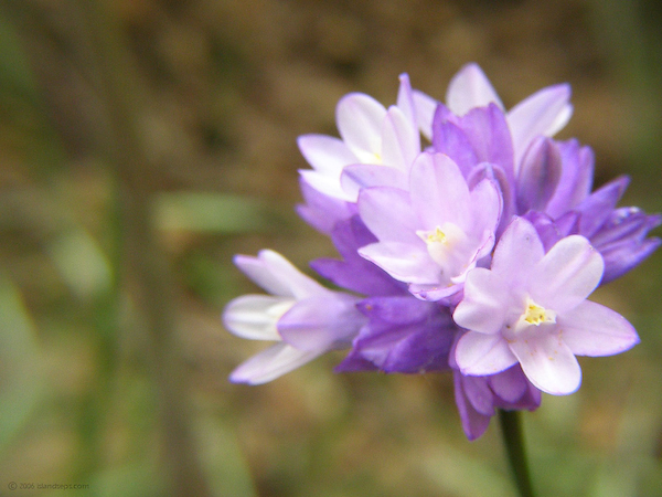 P5060441