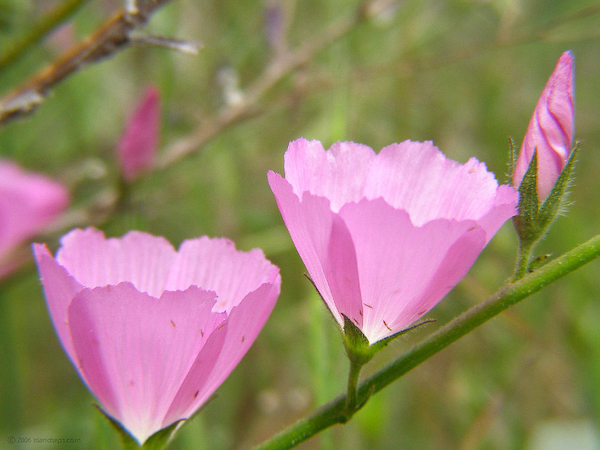 P5060462