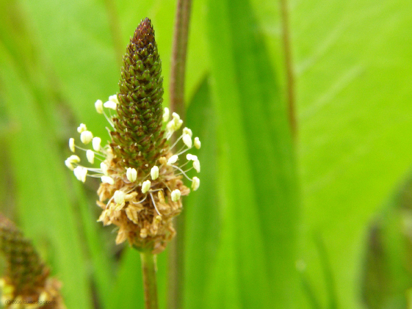 P5060481