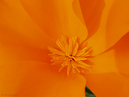 P4010012