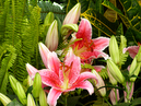P4110059