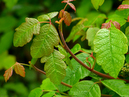 P5060435