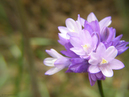 P5060441