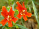 P5060444