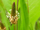 P5060481